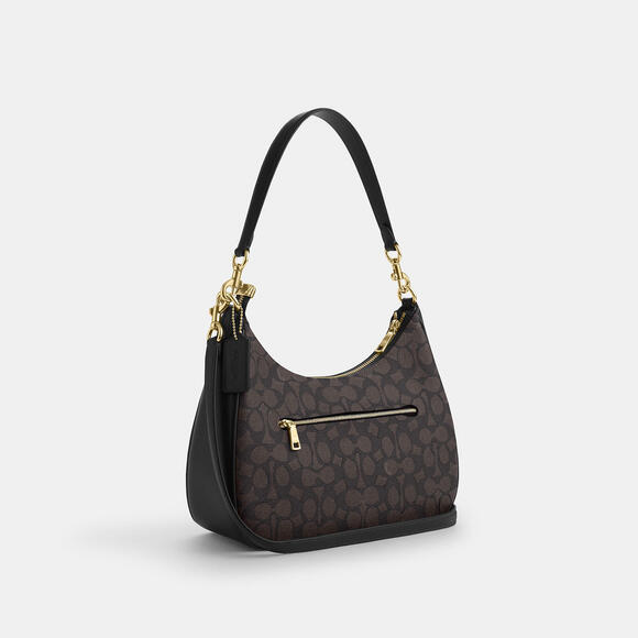 Teri Hobo Bag In Signature Canvas - Picture 1 of 12